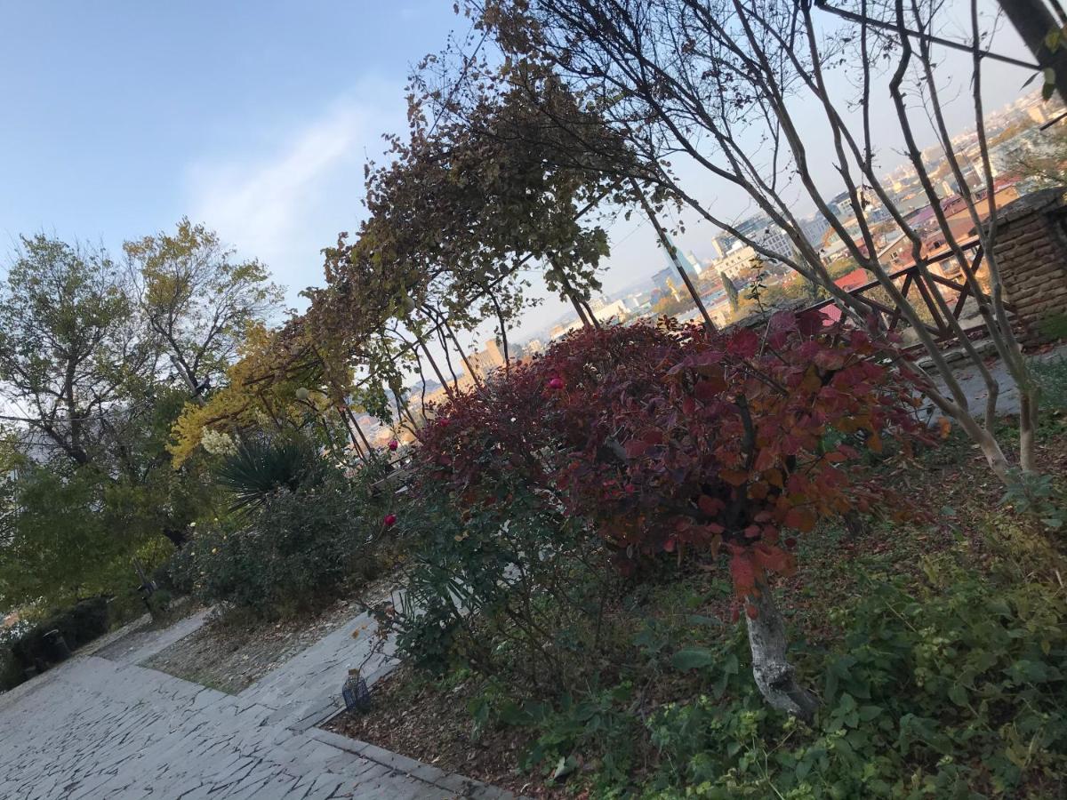 Bethlehem Terrace Βίλα Τυφλίδα Εξωτερικό φωτογραφία